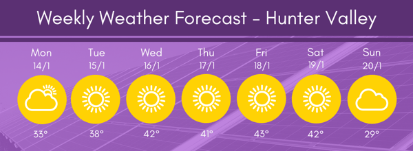 Hunter Region Weather 1 14-20 19