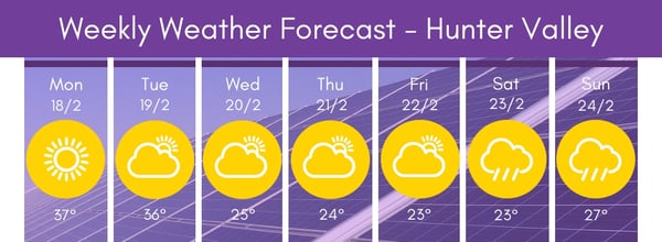 Hunter Region Weather 2 18-24 19