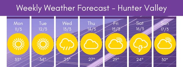 Hunter Region Weather 3 11-17 19