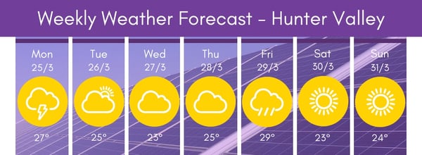 Hunter Region Weather 3 25-31 19